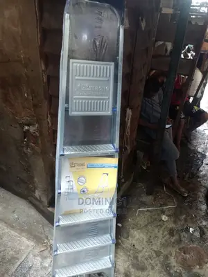 6 Step Ladder