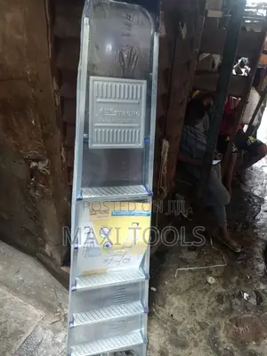 6 Step Ladder