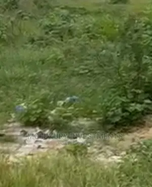 Residential Land Up for Sale at Lekki Phase 1