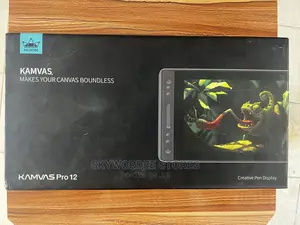 Huion Kamvas Pro 12