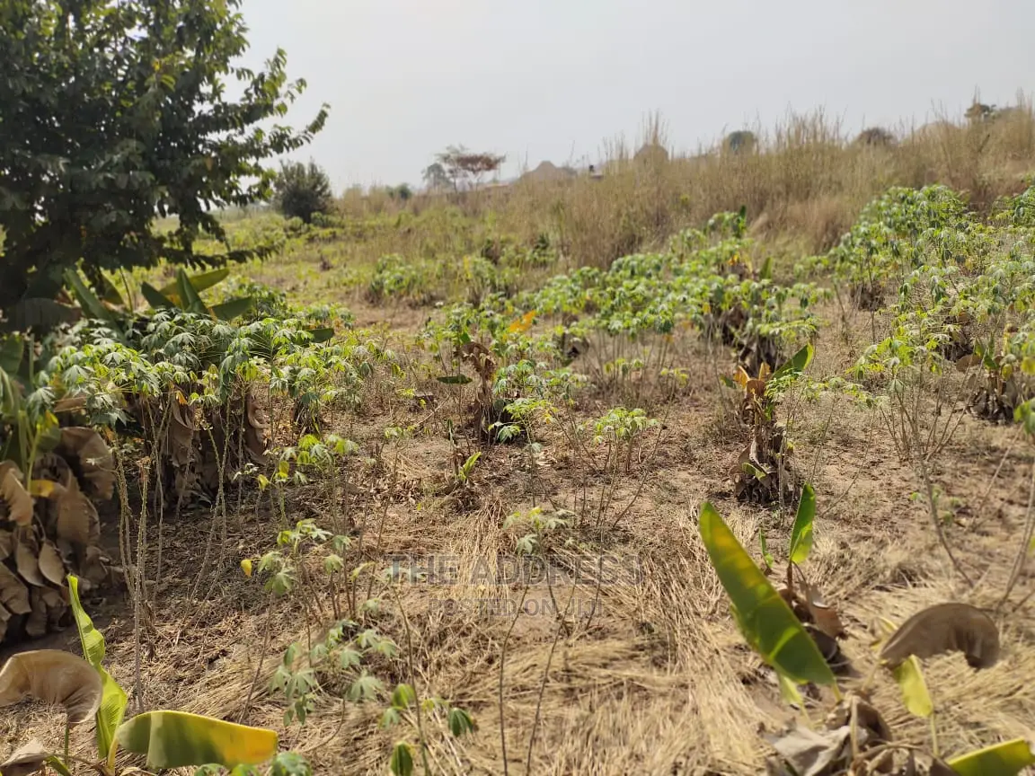 Richy Estate Phase 2 OkpanamAsaba in Oshimili North Land & Plots for