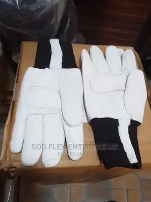 Cold Room Glove