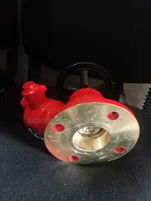 Landing Valves