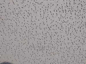 Fiber Aquostic Ceiling