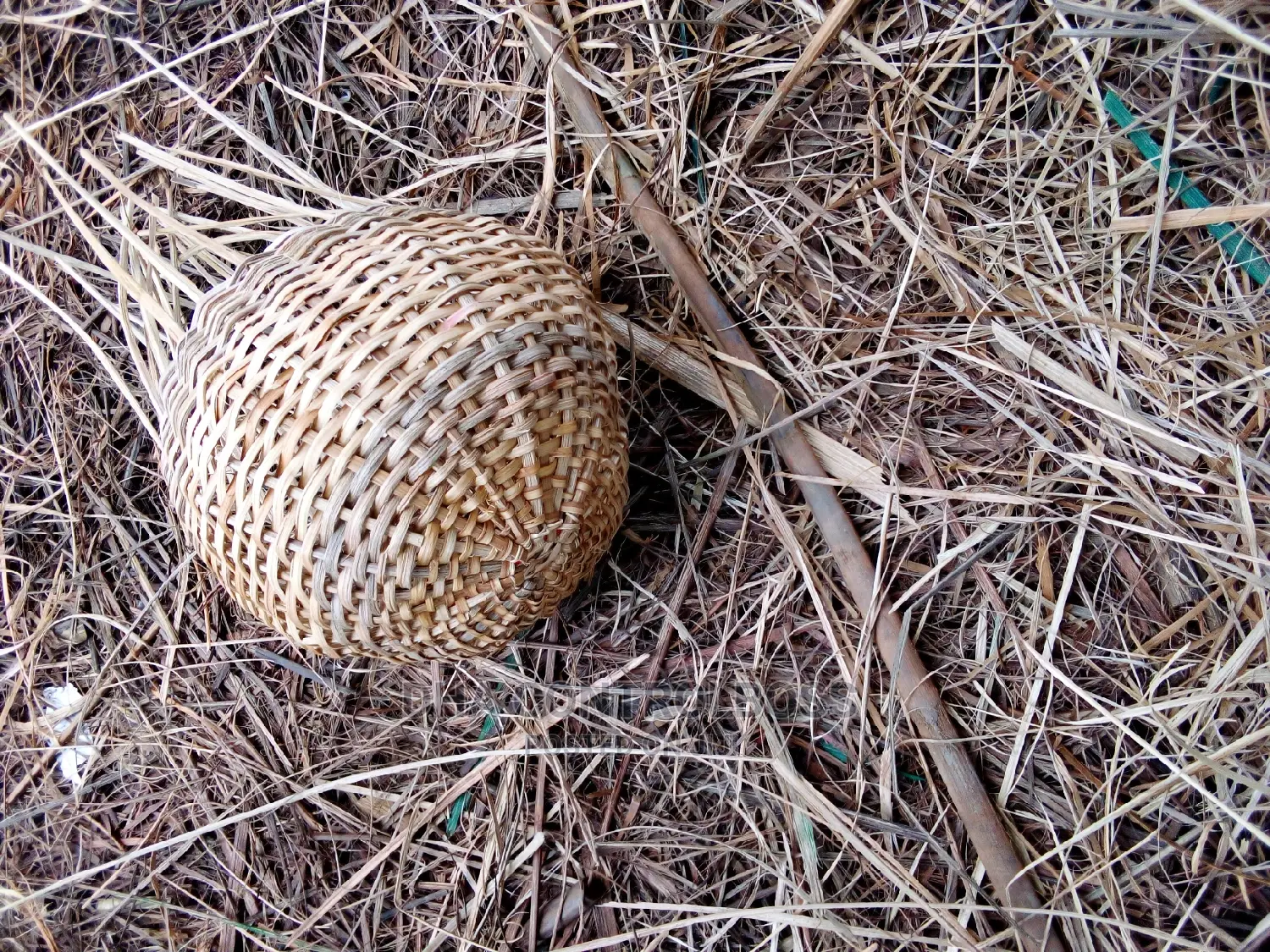 Weaved Baskets for Hampers
