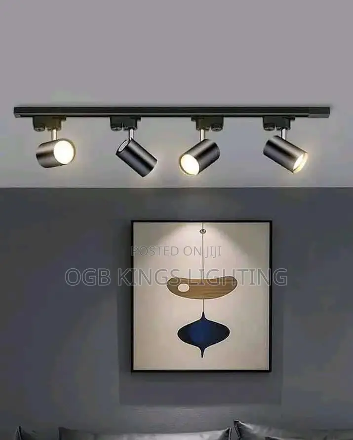 LED Track Light COB 30watts 220V COB Track Lamp