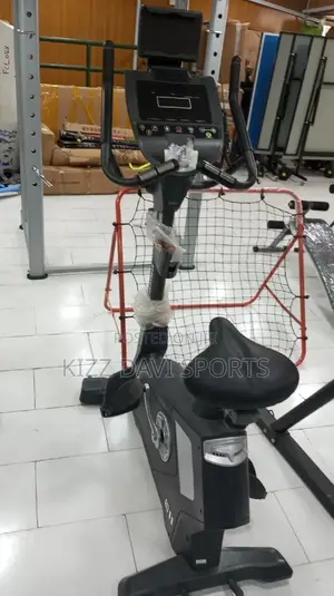 Commercial Magnetic Bike
