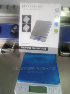 Electronic Digital Scale