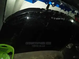 Ford Explorer Hood or Bonnet 2016 2017 2018 2019