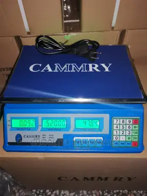 Electronic Pricing Scale
