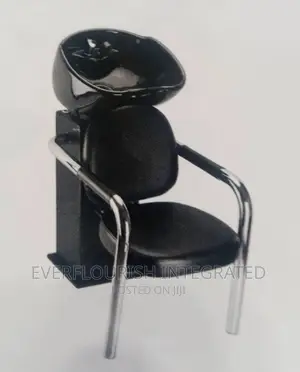 Salon Washing Basin Chair