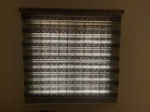 Day and Night Window Blinds