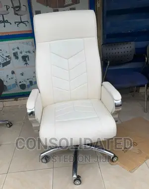 Executive Director Office Chair