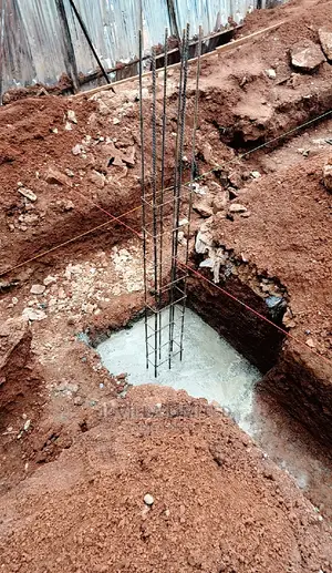 Ongoing Project