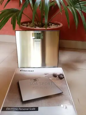 Electronic Personal Scale