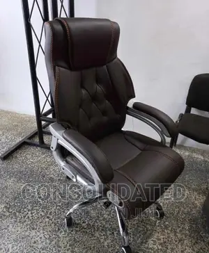 Executive Ergonomic Office Chair