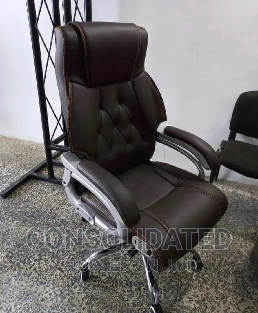 Executive Ergonomic Office Chair