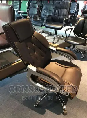 Executive Ergonomic Office Chair