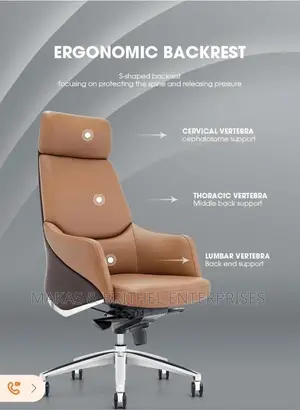 Erogonic Home/Office Chair