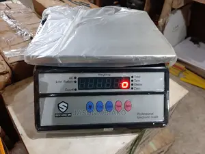30kg Digital Electronic Scale