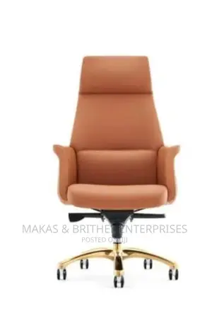 Ergonomic Office Chair