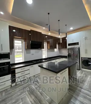 Luxury Kitchen Cabinet Design With Accessories