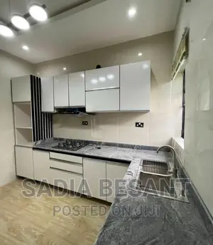 Contemporary Kitchen Cabinet Design With Accessories