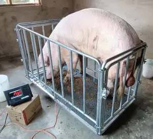 1ton Big Platform Scale