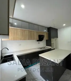 Contemporary Kitchen Cabinet Design With Accessories