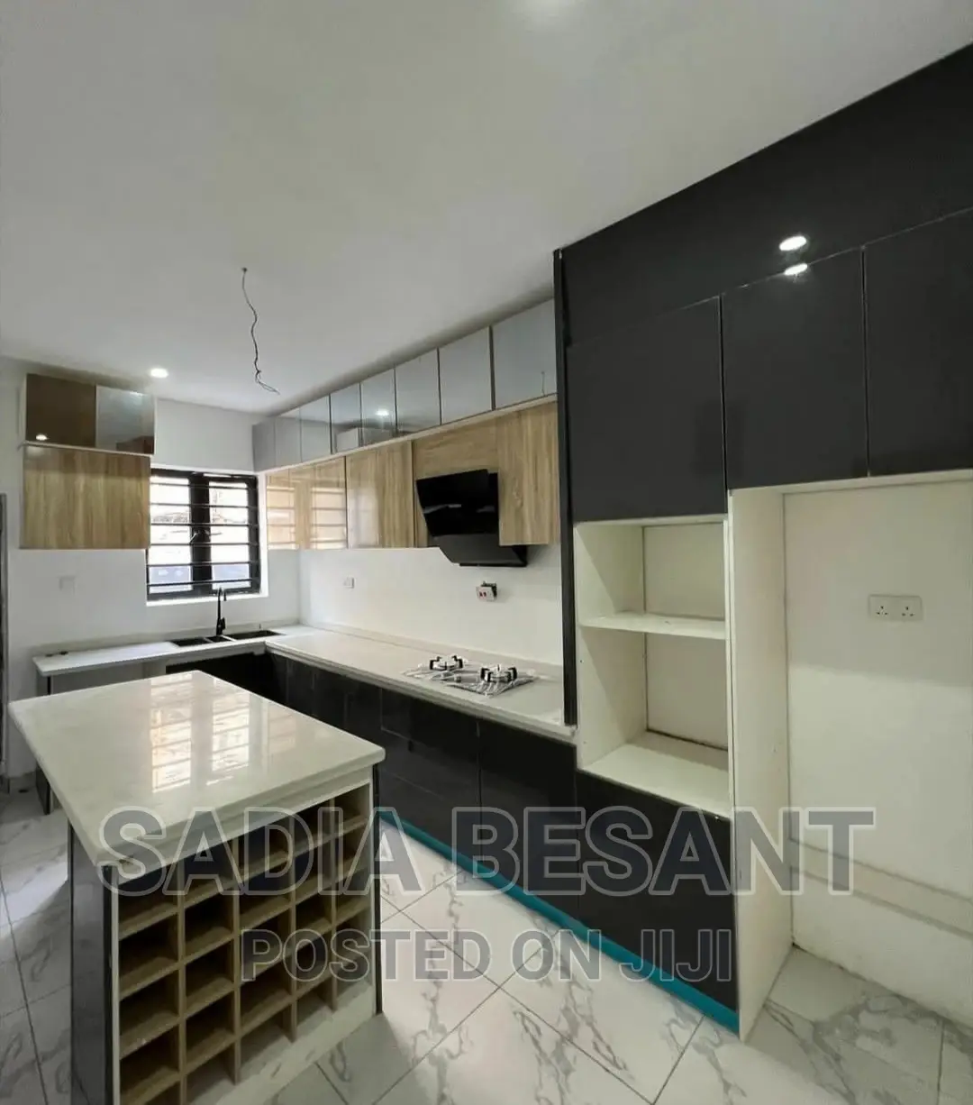 Contemporary Kitchen Cabinet Design With Accessories