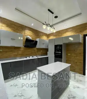 Luxury Kitchen Cabinet Design With Accessories