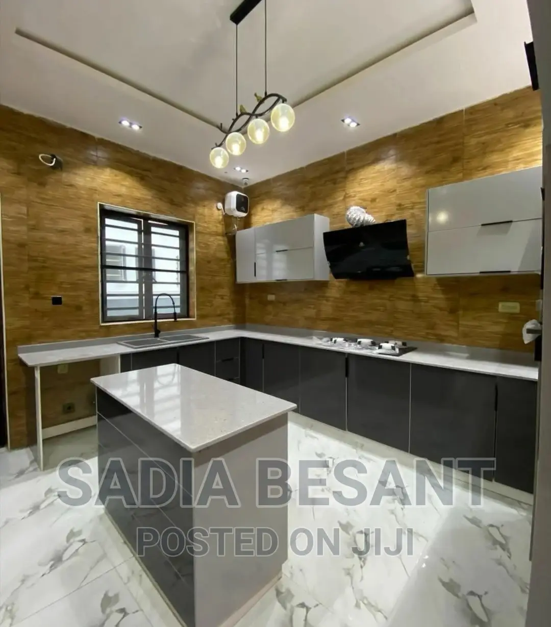 Luxury Kitchen Cabinet Design With Accessories