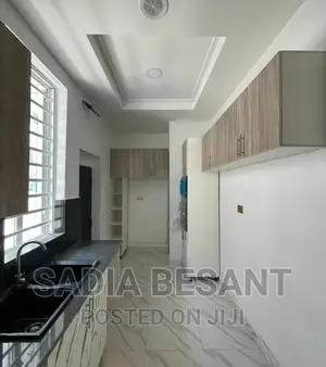 Luxury Kitchen Cabinet Design With Accessories