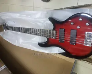 Fender Bass Guitar
