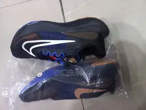 Zoom Nike Canvas