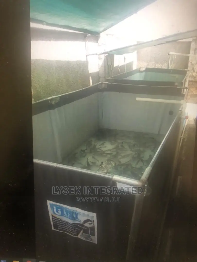 Fish Pond Tarpurlin