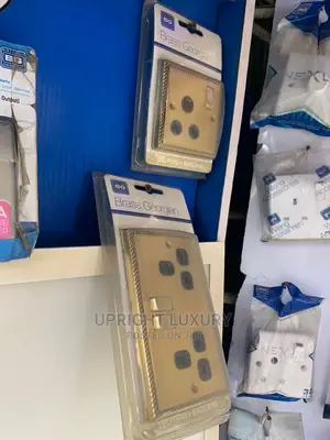 13A Double Socket (Gold)