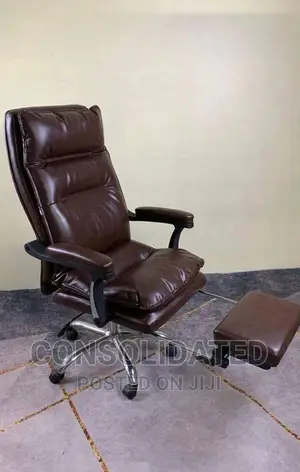 Executive Ergonomic Office Chair