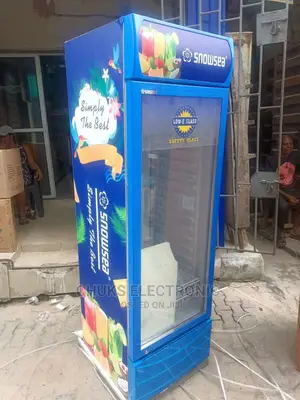 300L Snowsea Standing Chiller