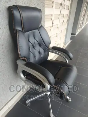 Executive Ergonomic Office Chair