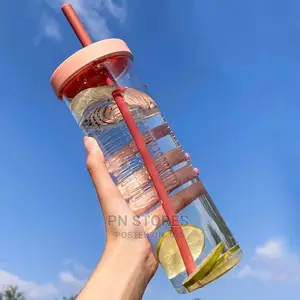 700ml Transparent Fruit Filter Straw Bottle