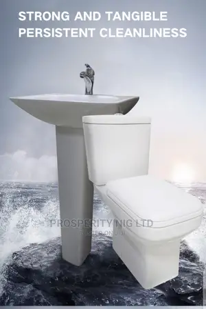 Complete Top Flush Wc
