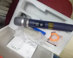 LIDAGSHENG Wireless Mic
