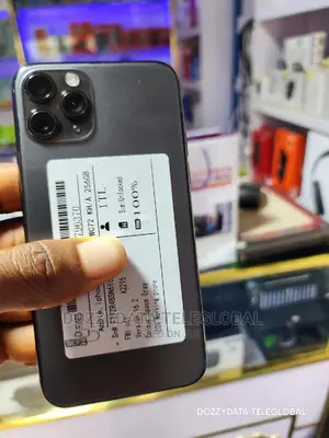 Apple iPhone 11 Pro 256 GB Gray