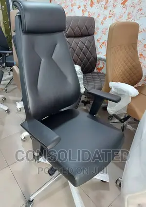 Executive Ergonomic Office Chair