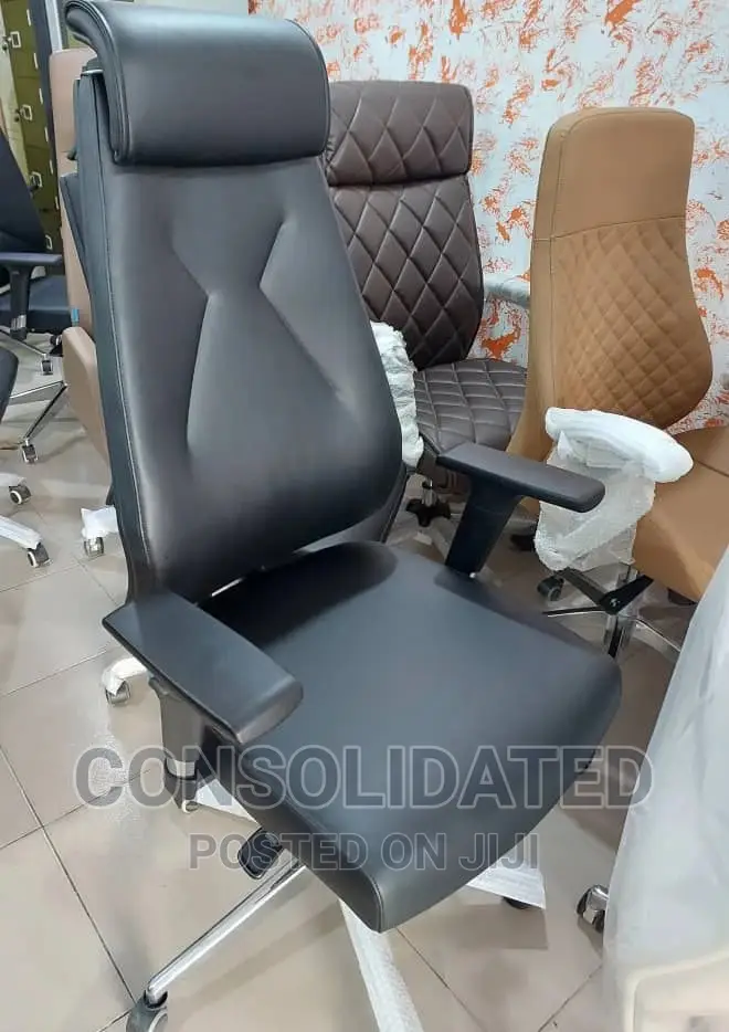 Executive Ergonomic Office Chair