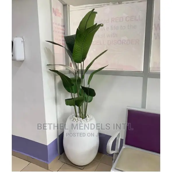 60cm Egg Classic Fiberglass Flower Planter Bulk Sales in Ikeja