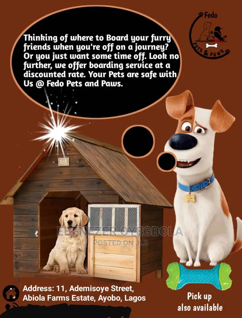 Dog Boarding