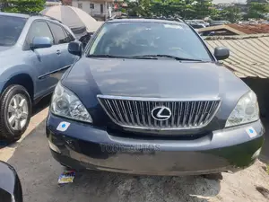 Lexus RX 330 2006 Gray