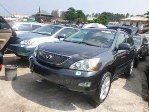 Lexus RX 330 2006 Gray